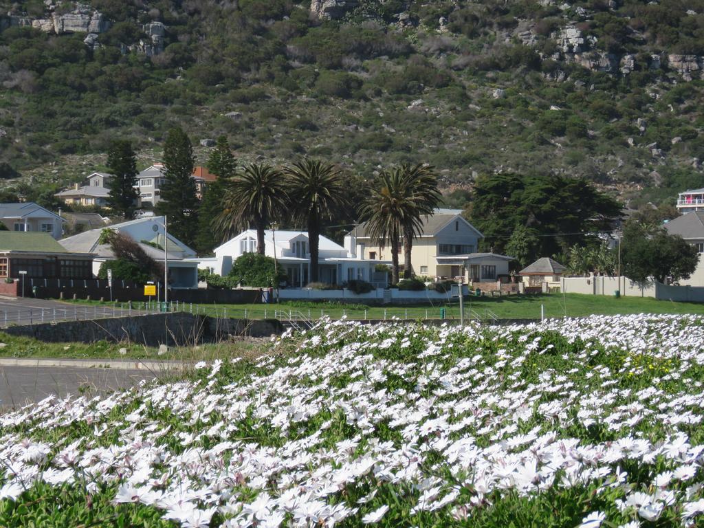 Palm Villa Cottage Kommetjie Exterior foto